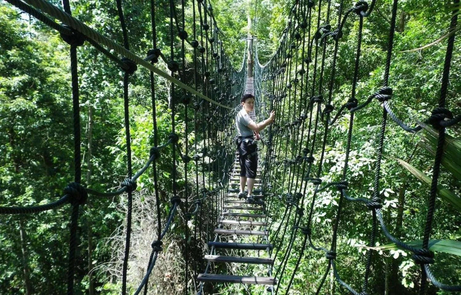 Rope bridge through the rainforest canopy at Skytrex Sungai Congkak