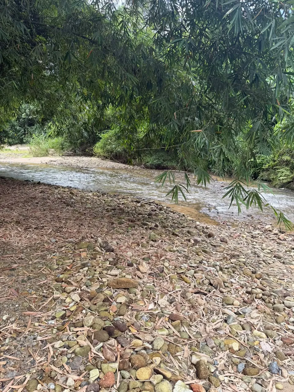 Pebble Riverbank